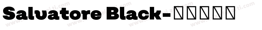 Salvatore Black字体转换